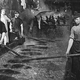 Image for article titled Utterly Disturbing, Century-Old Photos of Meat-Packing Facilities